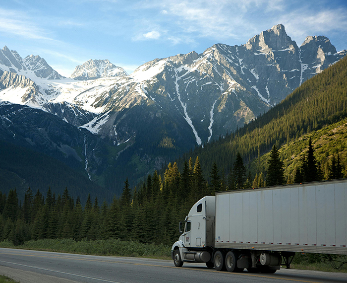 Road Transport Services